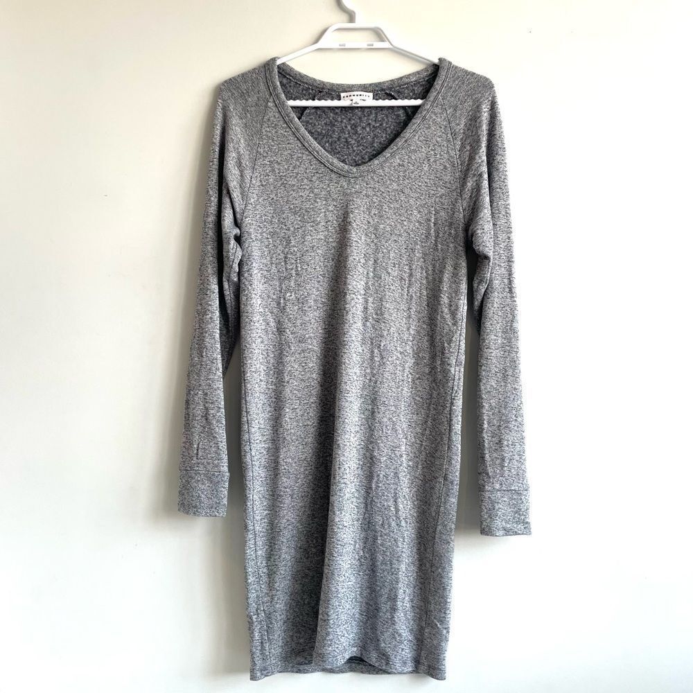 Aritzia Community Long Sleeve Dress